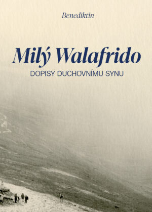 obálka knihy Milý Walafrido